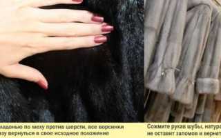 Как выбрать норковую шубу советы скорняка