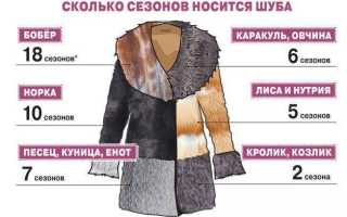 Как выбрать мутоновую шубу правильно советы