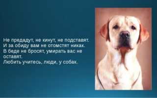 Сколько мужей было у Натальи Водяновой и ее личная жизнь сейчас, дети