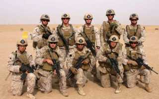 Как выбрать разгрузочный жилет для подводной охоты