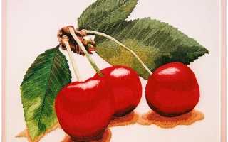 Простые схемы вышивки гладью по одежде для новичков