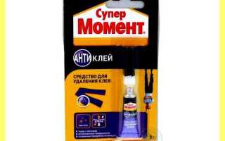 Как удалить пятна желчи с шерстяного ковра?